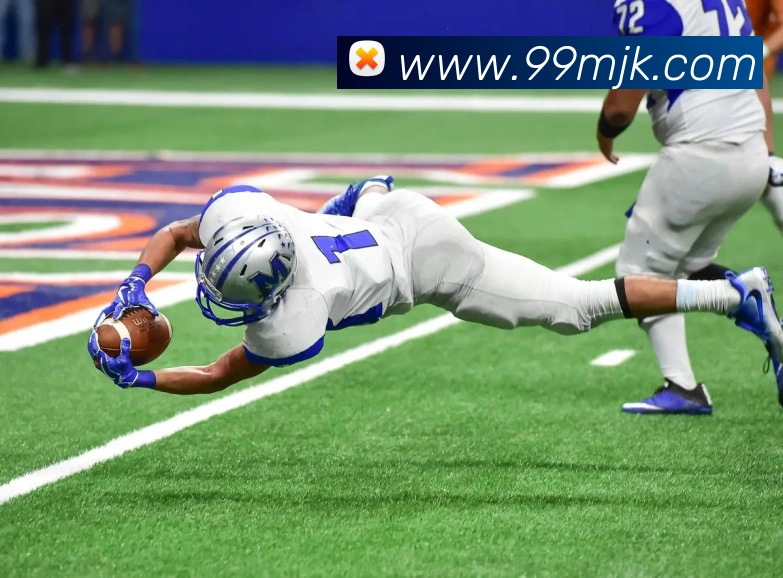 App Interface Preview