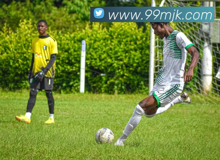 米兰体育官网在线入口APP 封面图